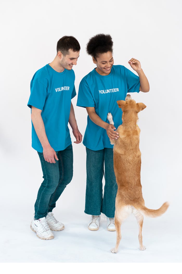 Two volunteers enjoy bonding with a playful dog indoors, showcasing companionship and joy.